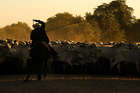 Gauchos am Día de la Tradición