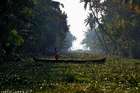 Unterwegs in den Backwaters in Kerala