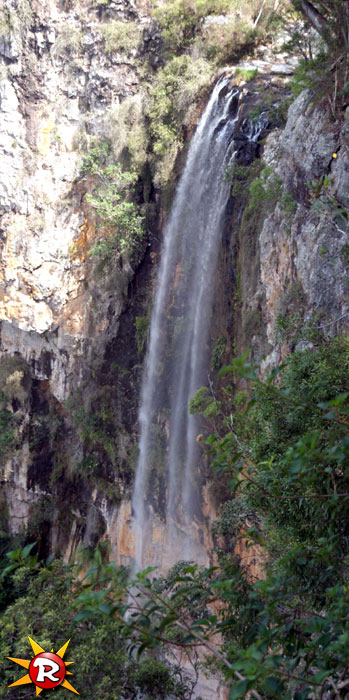 Wasserfall, Springbrook