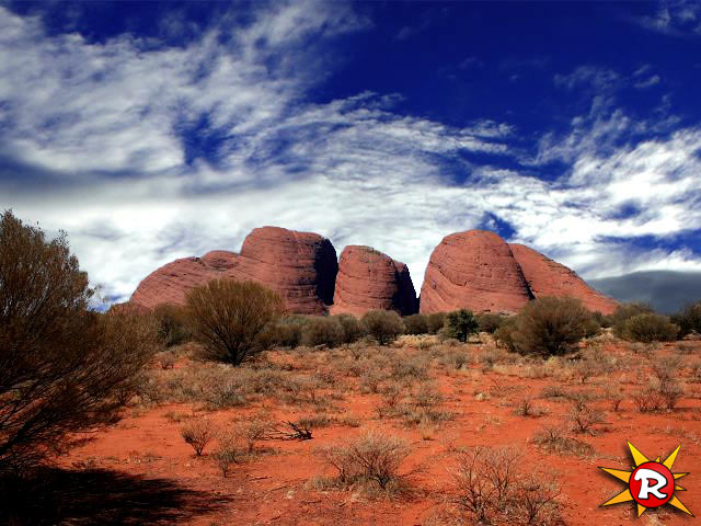 Die Olgas