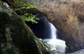 Natural Bridge, Springbrook