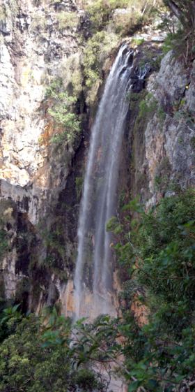 Wasserfall, Springbrook