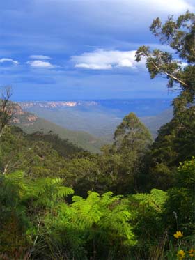 Aussicht der Blue Mountains