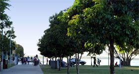 Cairns Promenade