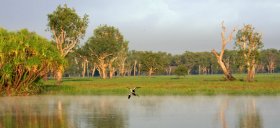 Landschaft Kakadu