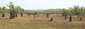Friedhof im Litchfield Park