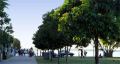 Cairns Promenade
