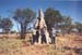Riesen-Termitenhügel im Northern Territory