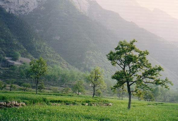 Unten bei Hua Shan