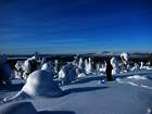 5 Dinge, die Du über Lappland im Winter wissen musst