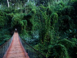 Trekking in Banlung, Kambodscha