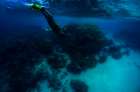 Die Unterwasserwelt des Lhaviyani Atolls