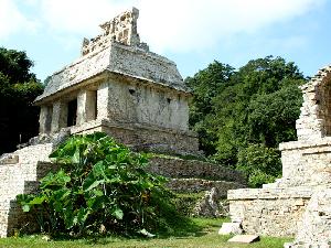 Auf Entdeckungstour im Land der Maya