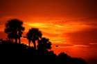 Florida, USA - Mehr als Sonne, Strand und Meer