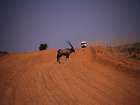 Per Dachzeltjeep durch Namibia