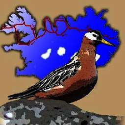 Islands Wilder Westen Islands Wilder Westen