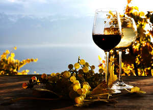 Argentinien ist weltweit für guten Wein bekannt. Argentinien ist weltweit für guten Wein bekannt.