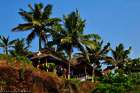 Varkala Beach: Stranderlebnisse mit Touristen und Indern Varkala Beach: Stranderlebnisse mit Touristen und Indern