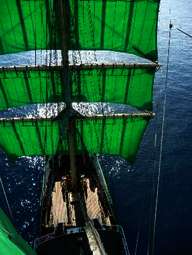 Segeltörn mit der Alexander von Humboldt Segeltörn mit der Alexander von Humboldt