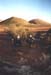 Moomooroos - die Tittenhügel von Alice Springs