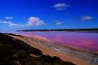 Pink Lake: Auf der Jagd nach rosa Seen in West Australien
