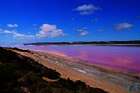 Pink Lake: Auf der Jagd nach rosa Seen in West Australien Pink Lake: Auf der Jagd nach rosa Seen in West Australien