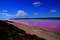 Pink Lake: Auf der Jagd nach rosa Seen in West Australien