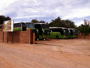 Busse der Busgesellschaft TurBus in San Pedro de Atacama