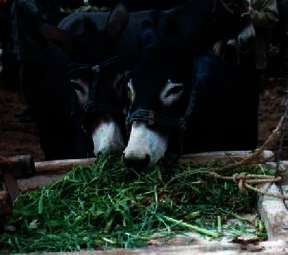 Über Land nach China... Über Land nach China...