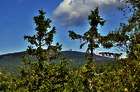 Wandertouren im Harz