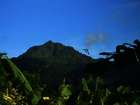 http://www.my-travelworld.de/dominica/reisebericht-dominica/