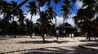 Ein Tag auf der Isla Saona: Paradiesische Dominikanische Republik