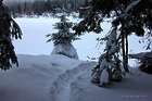 Rodeln im Harz - Winterwandern im Odertal