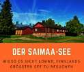 Saimaa: Wieso sich der grösste See in Finnland so sehr lohnt Saimaa: Wieso sich der grösste See in Finnland so sehr lohnt
