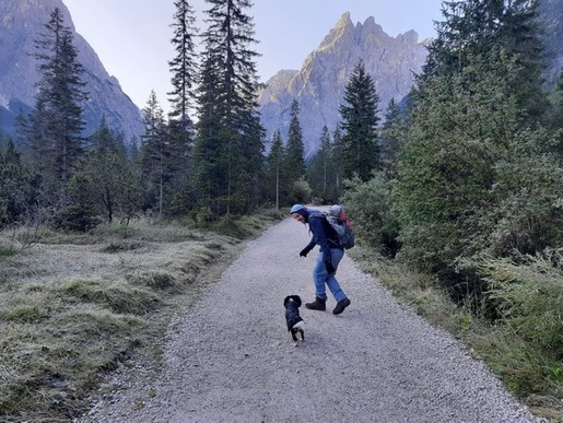 Mann mit Hund auf einem Wanderweg in den Bergen