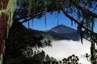 Alex Reiseseite - Teneriffa 2011 - Teide, LoroParque, Wanderungen