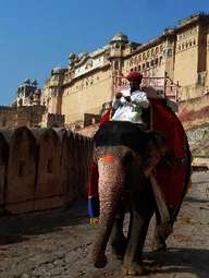 Incredible India - meine neue, große, bunte, aufregende Liebe Incredible India - meine neue, große, bunte, aufregende Liebe