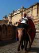 Incredible India - meine neue, große, bunte, aufregende Liebe Incredible India - meine neue, große, bunte, aufregende Liebe