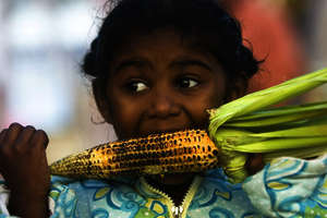 Essen und Trinken in Indien