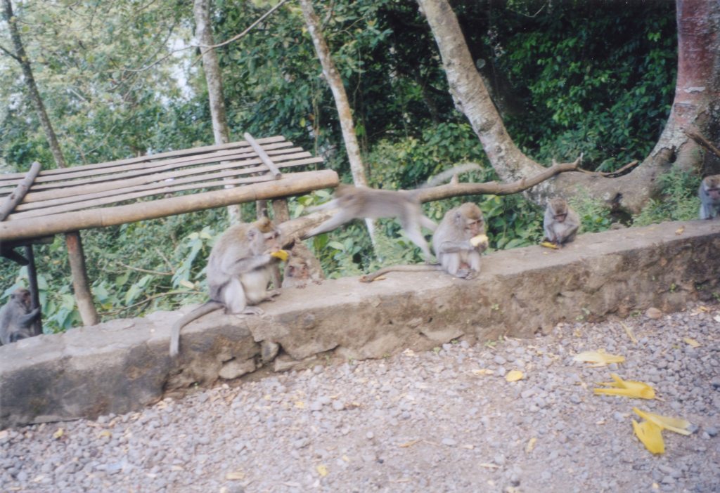 tn_stefan_1326.jpg: Indonesien 2003 , Java, Bali, Nusa Lembongan mit Schmeissi und Bernadette