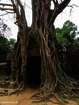 Ankor die eindruksvollen Bauwerke der Khmer