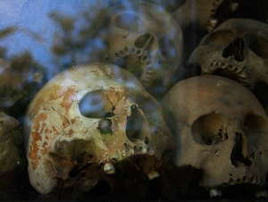 Killing Fields Killing Fields