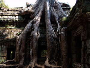 Angkor Wat Angkor Wat