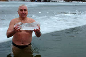 Polar Bear Swim Polar Bear Swim