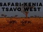 Safari Kenia – Fahrt zum Tsavo West Nationalpark