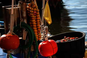 mmer frisch: Fisch und Meeresfrüchte sind wichtige Zutaten für die mediterrane Küche. mmer frisch: Fisch und Meeresfrüchte sind wichtige Zutaten für die mediterrane Küche.