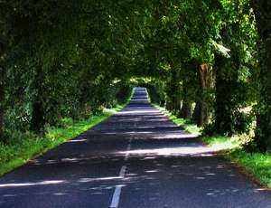 Die Ostsee: Von Pommern bis Kurland... Die Ostsee: Von Pommern bis Kurland...