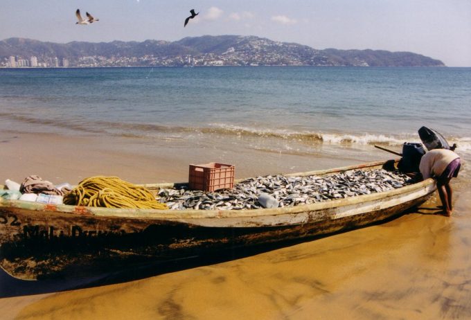 Boot mit Fisch, Acapulco