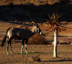 Namibia - weites Land, eine Rundreise Namibia - weites Land, eine Rundreise