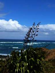 Neuseeland Umrundung Neuseeland Umrundung